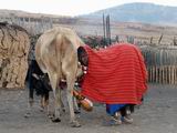 Africa